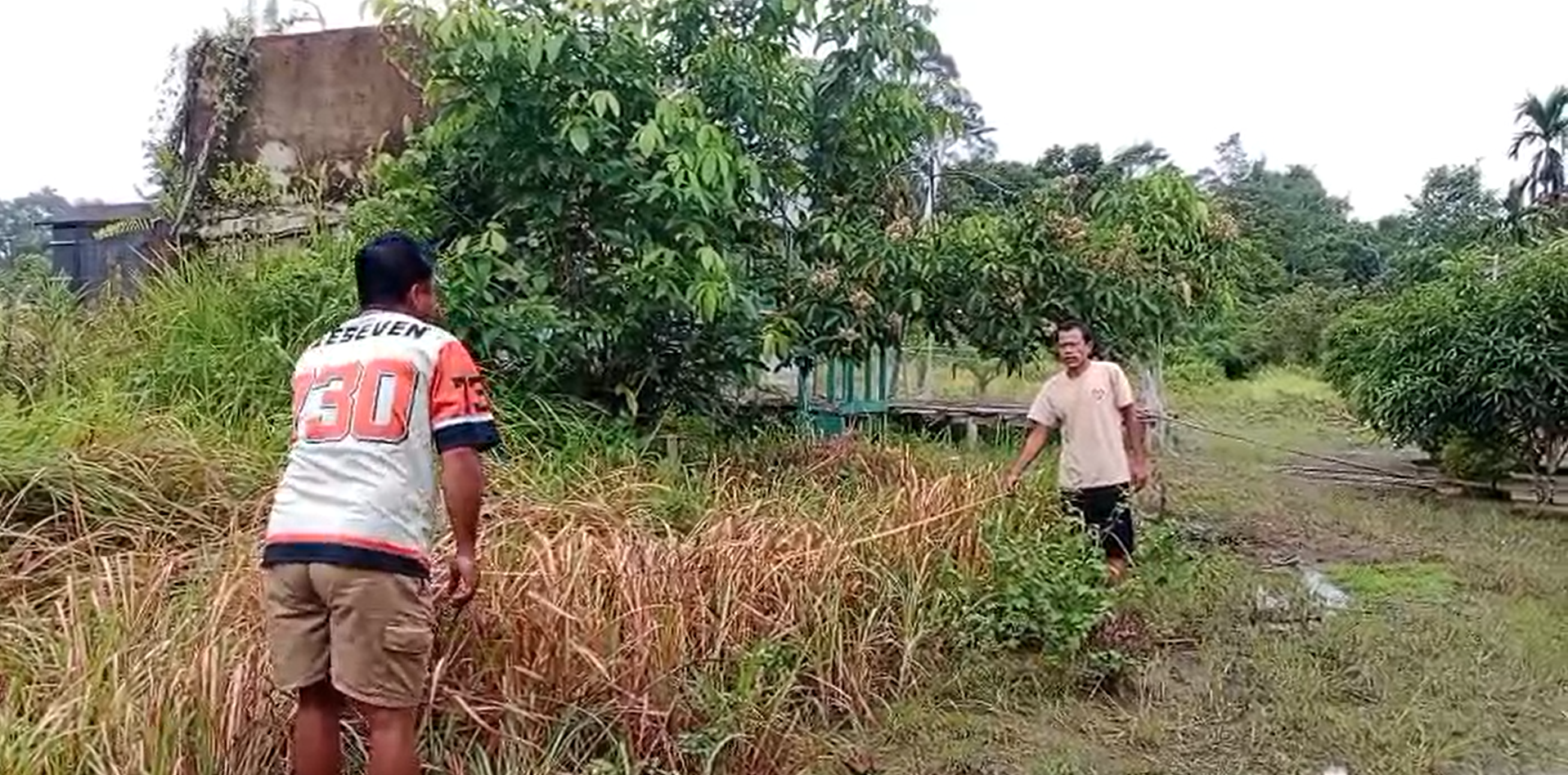 Screenshot 2025 12 03 084011